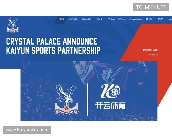 深入了解开云体育网的安全性与信誉度，保障用户权益